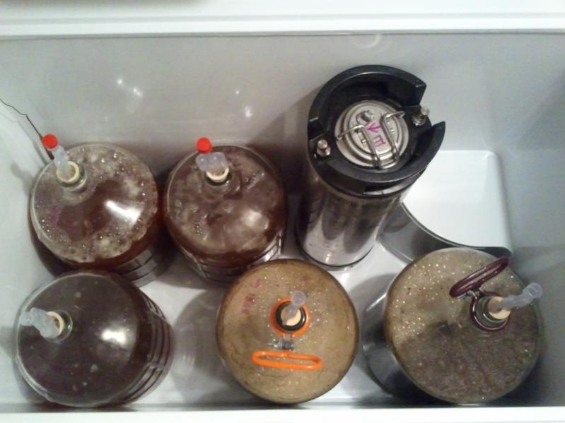 Maytag_14_8_Carboys.jpg