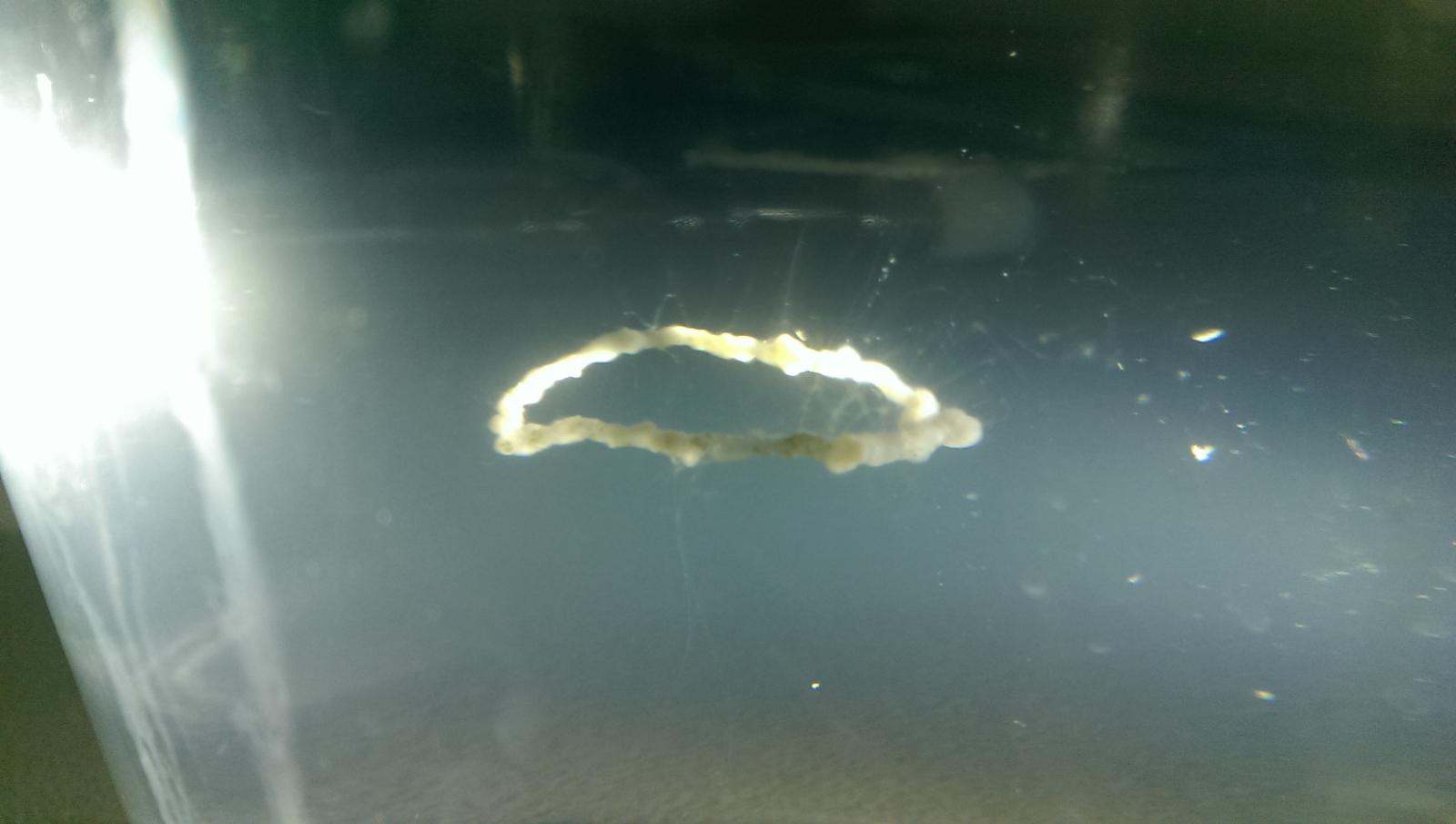IMAG0559.jpg