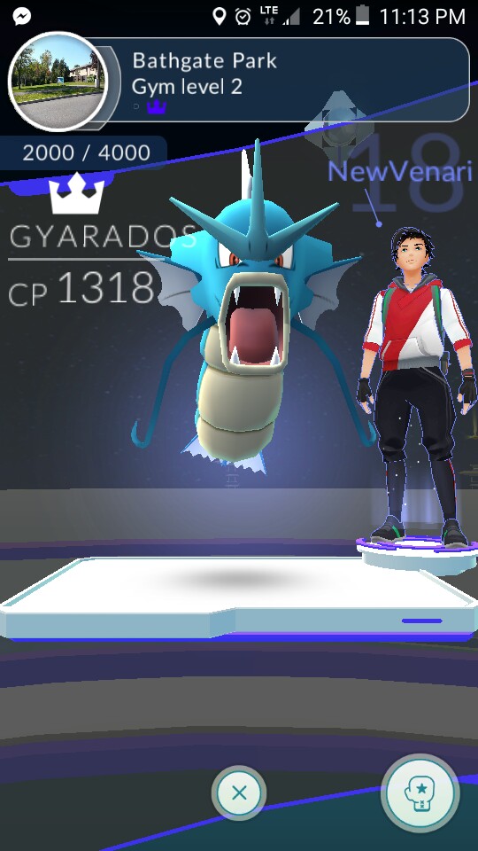 Gyarados.jpg