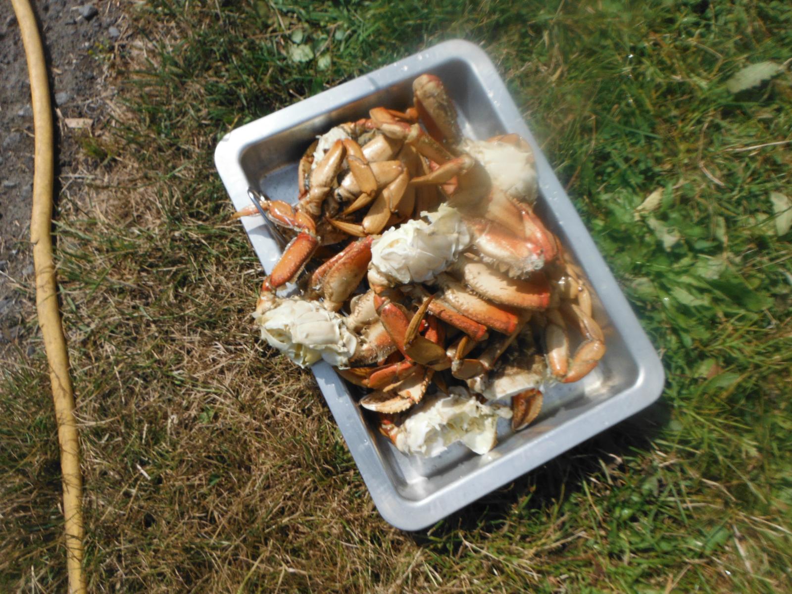 DSCF9314.jpg