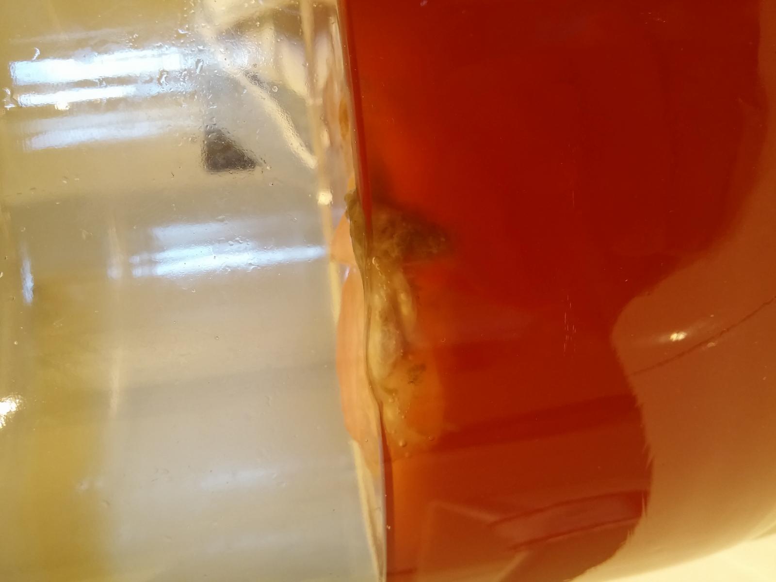 20160804_195812.jpg