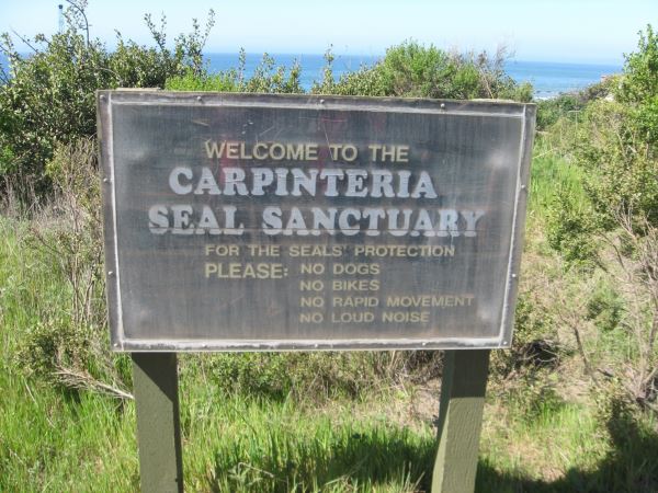 seal.jpg