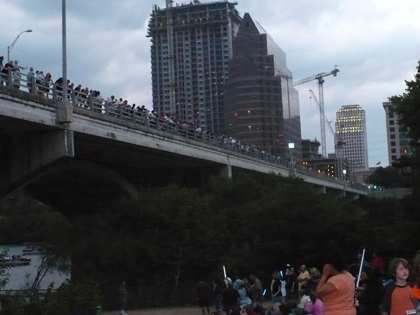 P1000654.jpg
