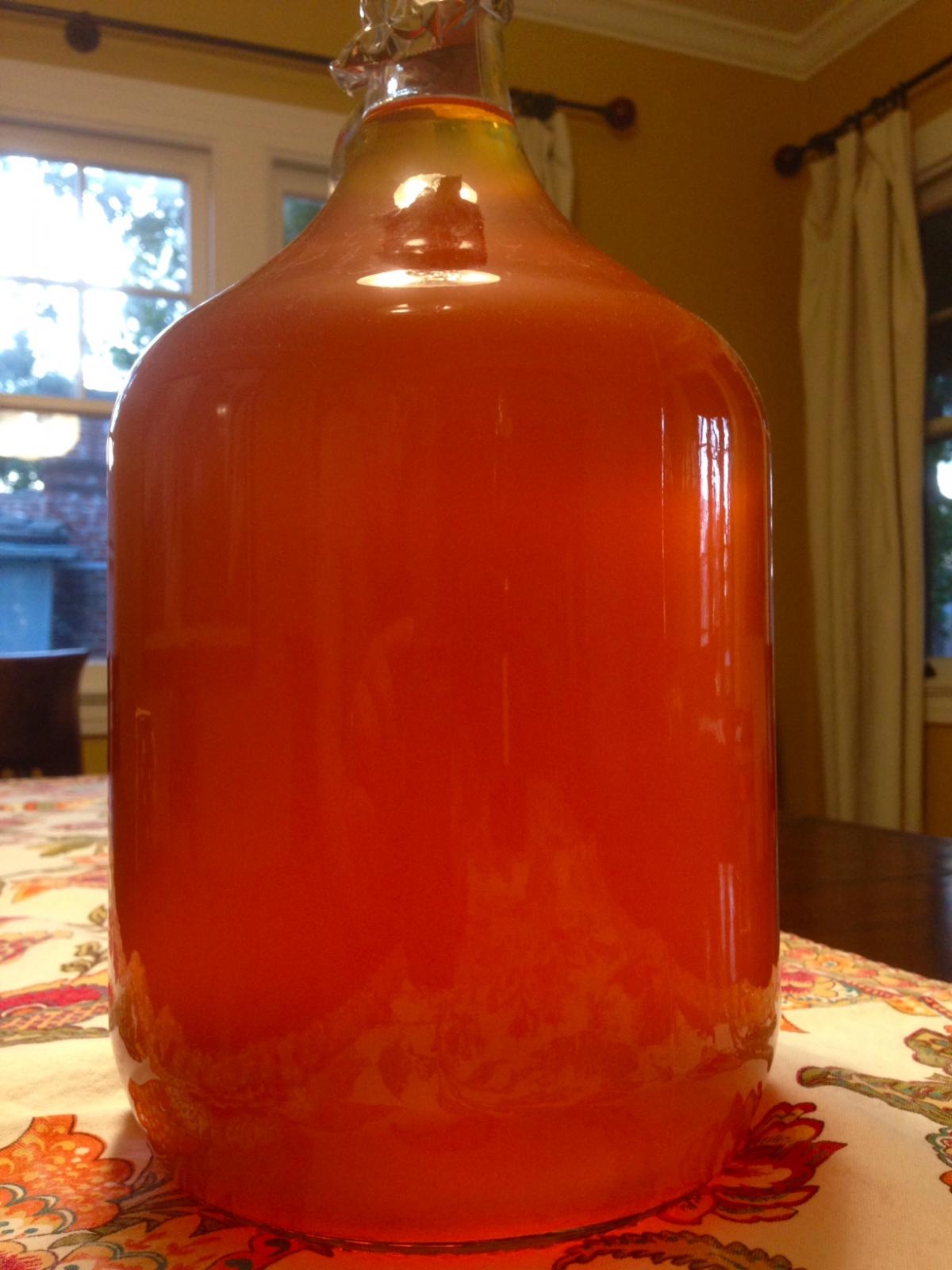 Prickly Pear Mead.jpg