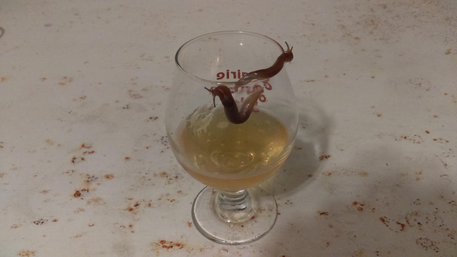 IMAG0557.jpg