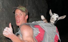 Goat2.jpg