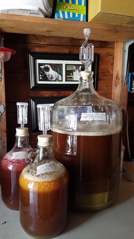 3IPAs.jpg