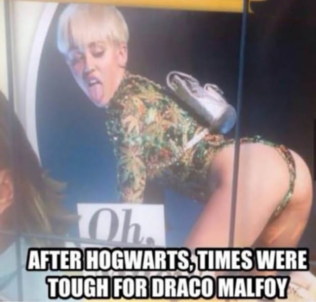 draco.jpg