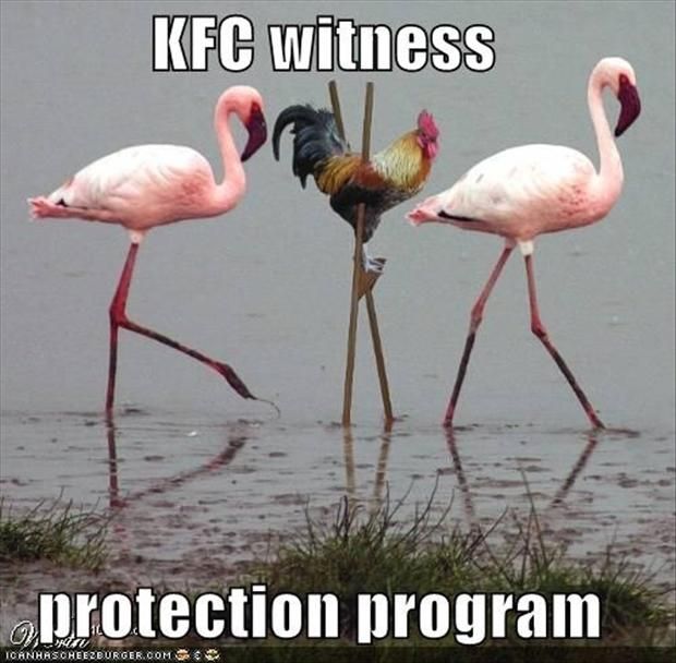 KFC protection Memes.jpg