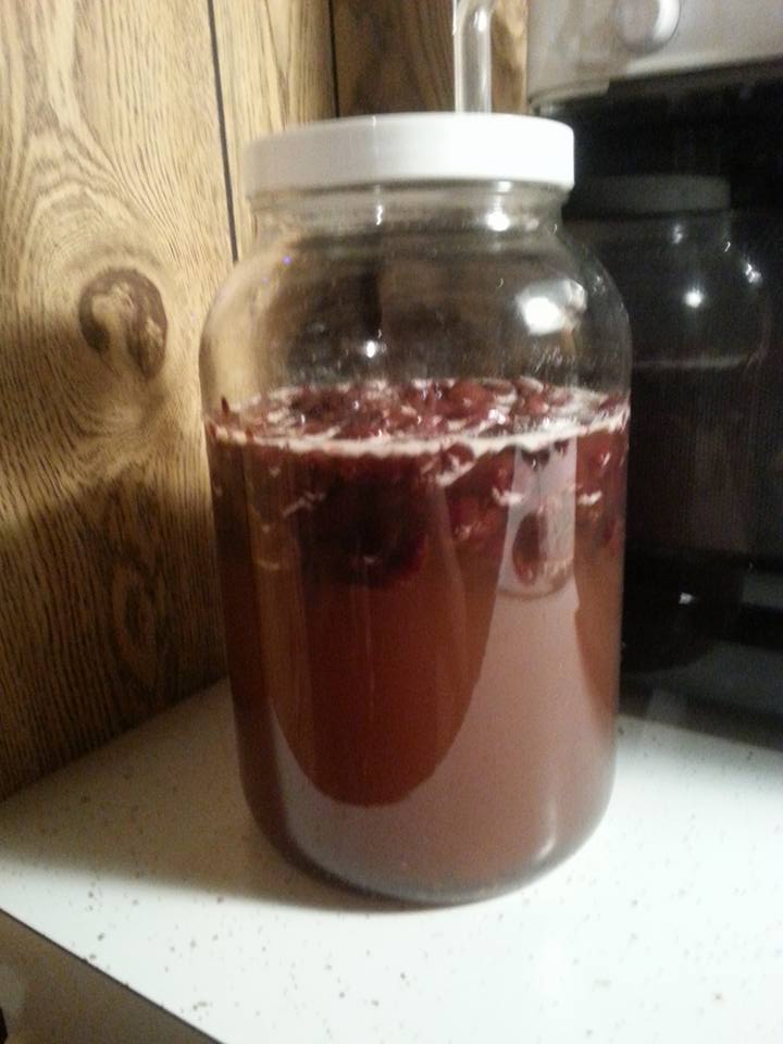 Cherry Melomel 10 6 2016.jpg