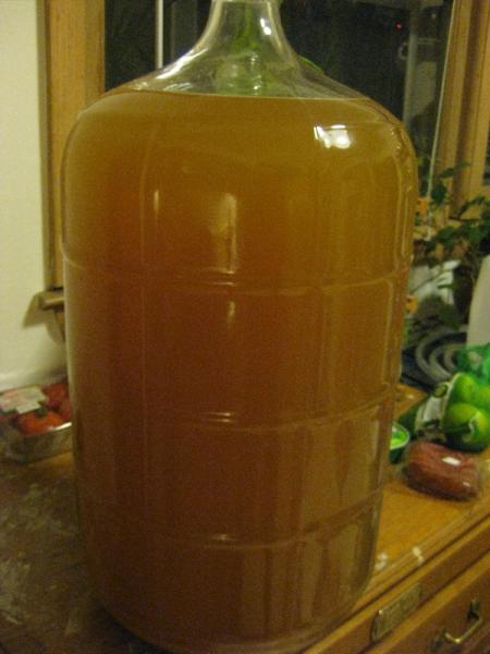 cider batch 2_201111191.jpg