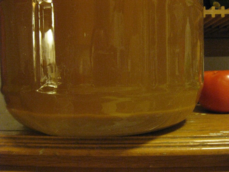 cider batch 2_201111192.jpg
