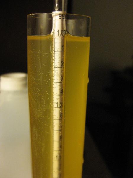 cider batch 2_201111193.jpg