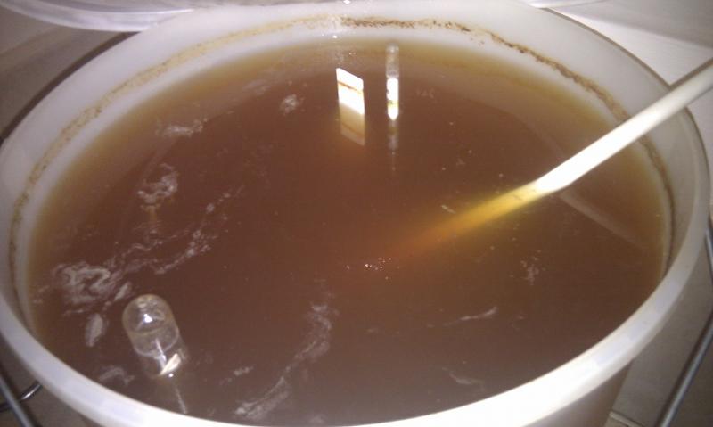 IMAG0097.jpg IMAG0097.jpg