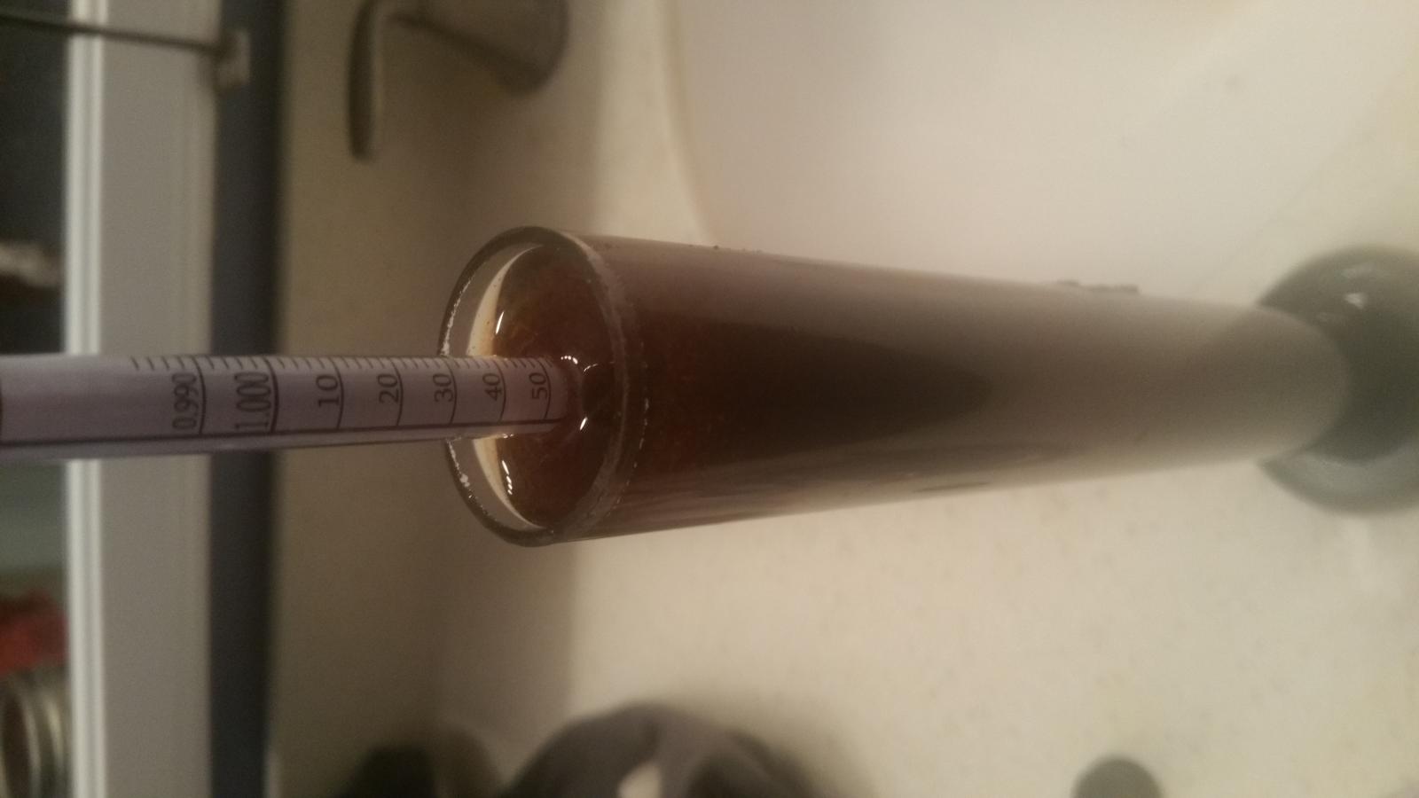 10 Stout OG 1.054.jpg