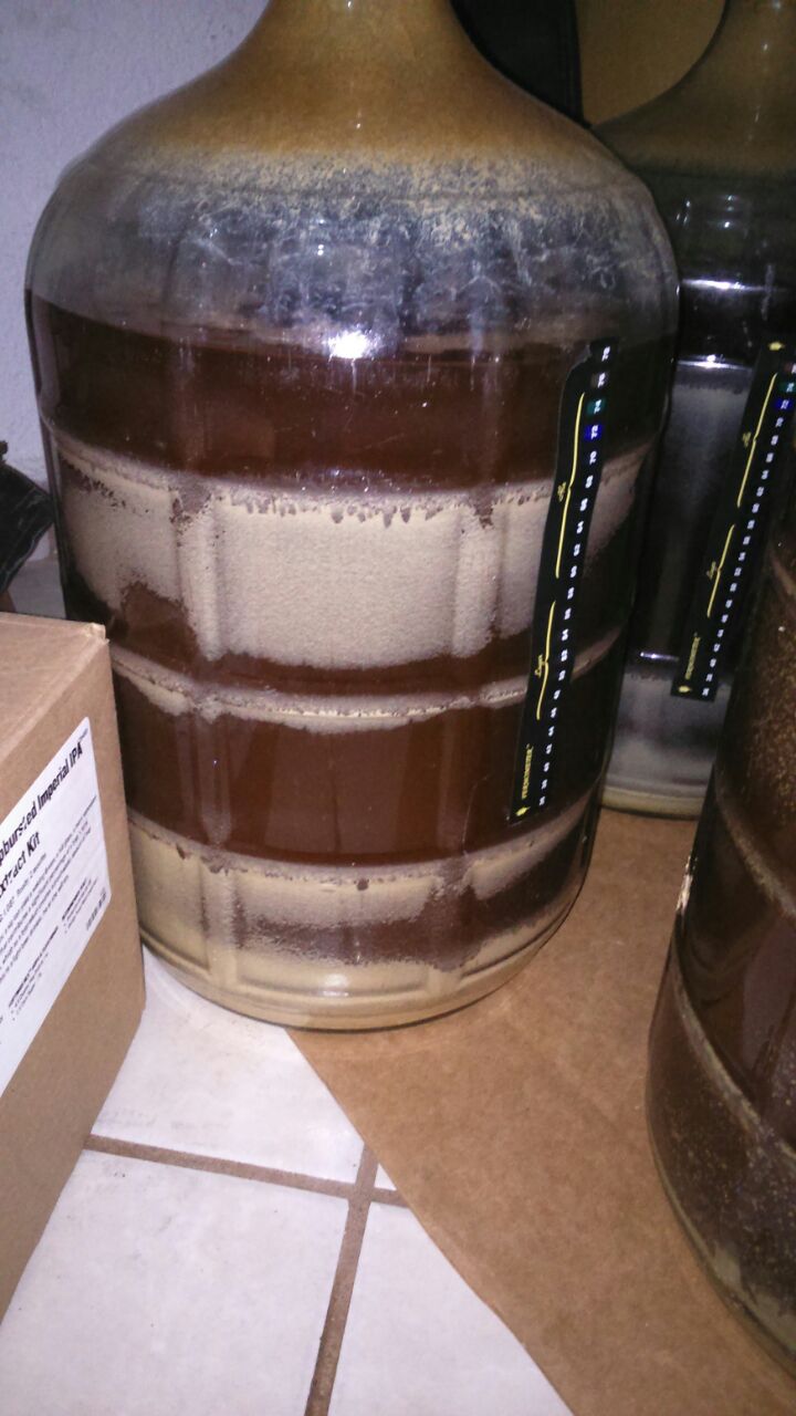 IMG-20161115-WA0025.jpg IMG-20161115-WA0025.jpg