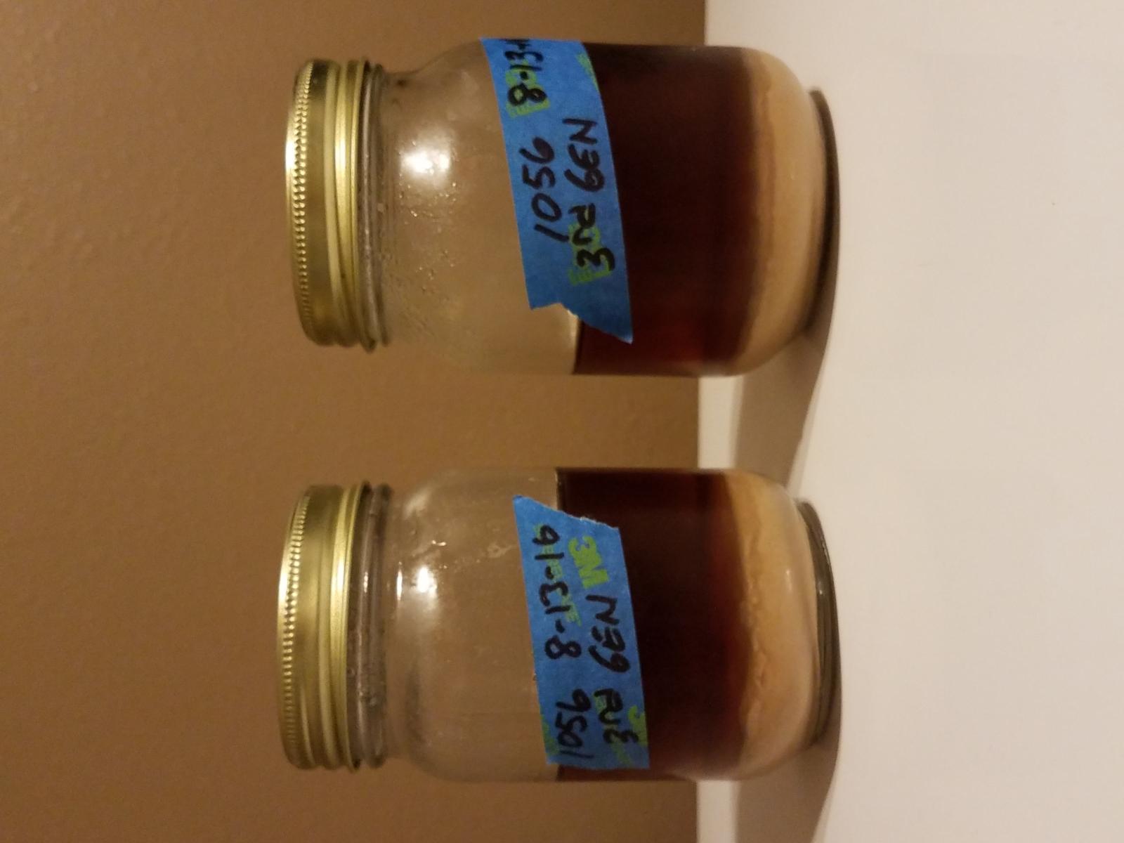yeast 20161119_061838.jpg