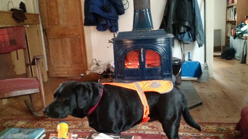 dog at deercamp.jpg