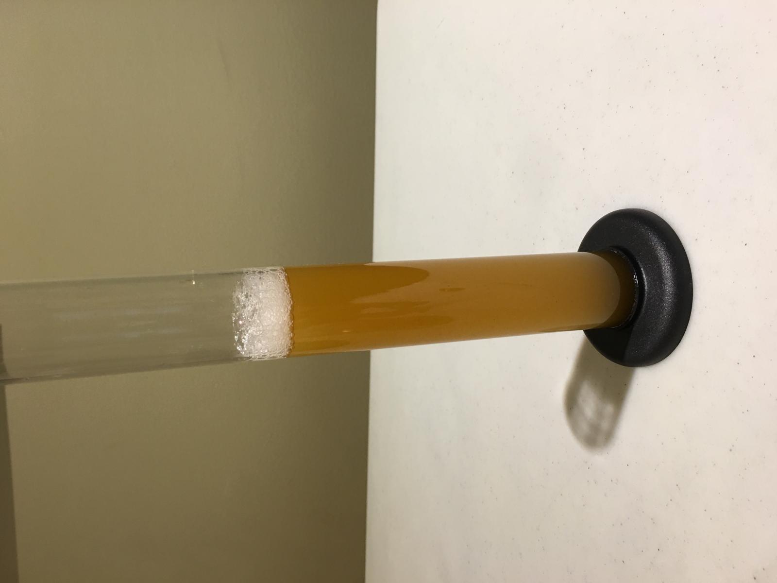 Lagunita-IPA-Clone-Small-Sample.jpg