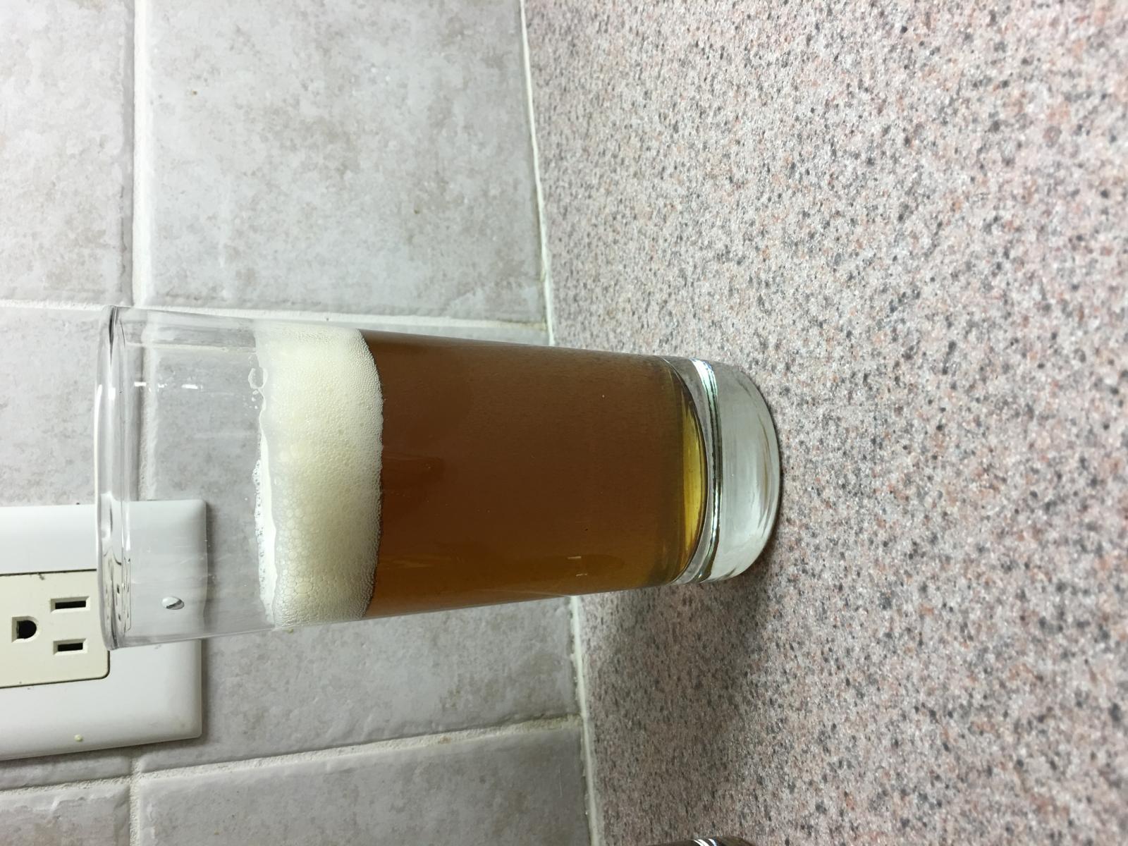 Lagunita-IPA-Clone.jpg