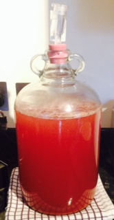 cider.jpg cider.jpg