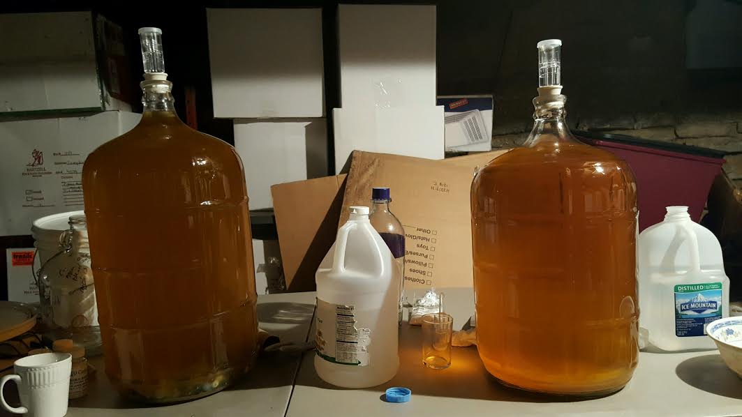 Cider carboys 2016.jpg