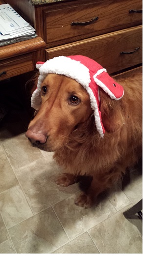 Winter Cooper.jpg