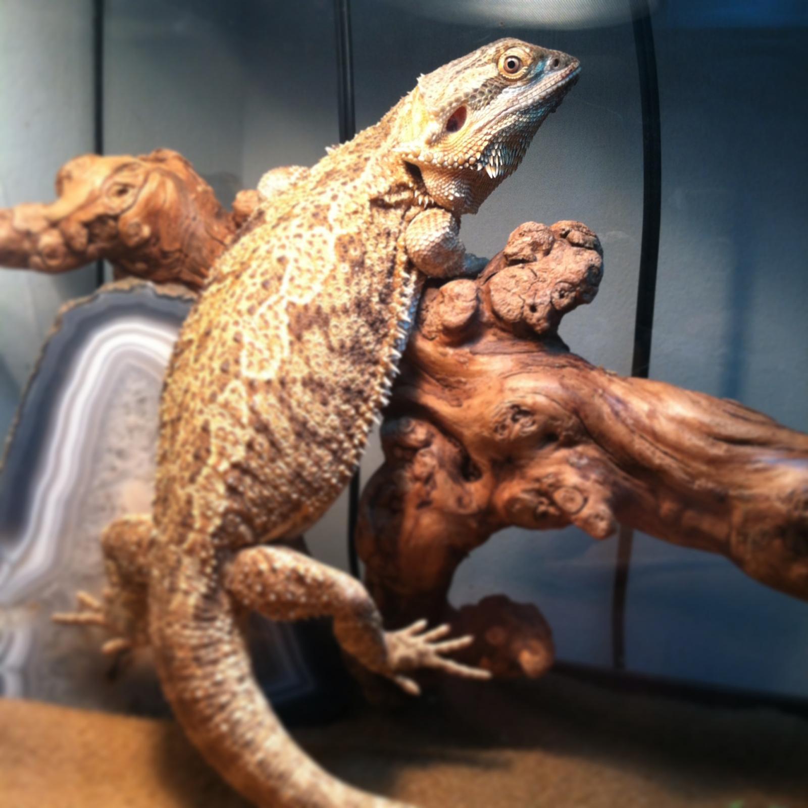 2014-06-05 004.jpg