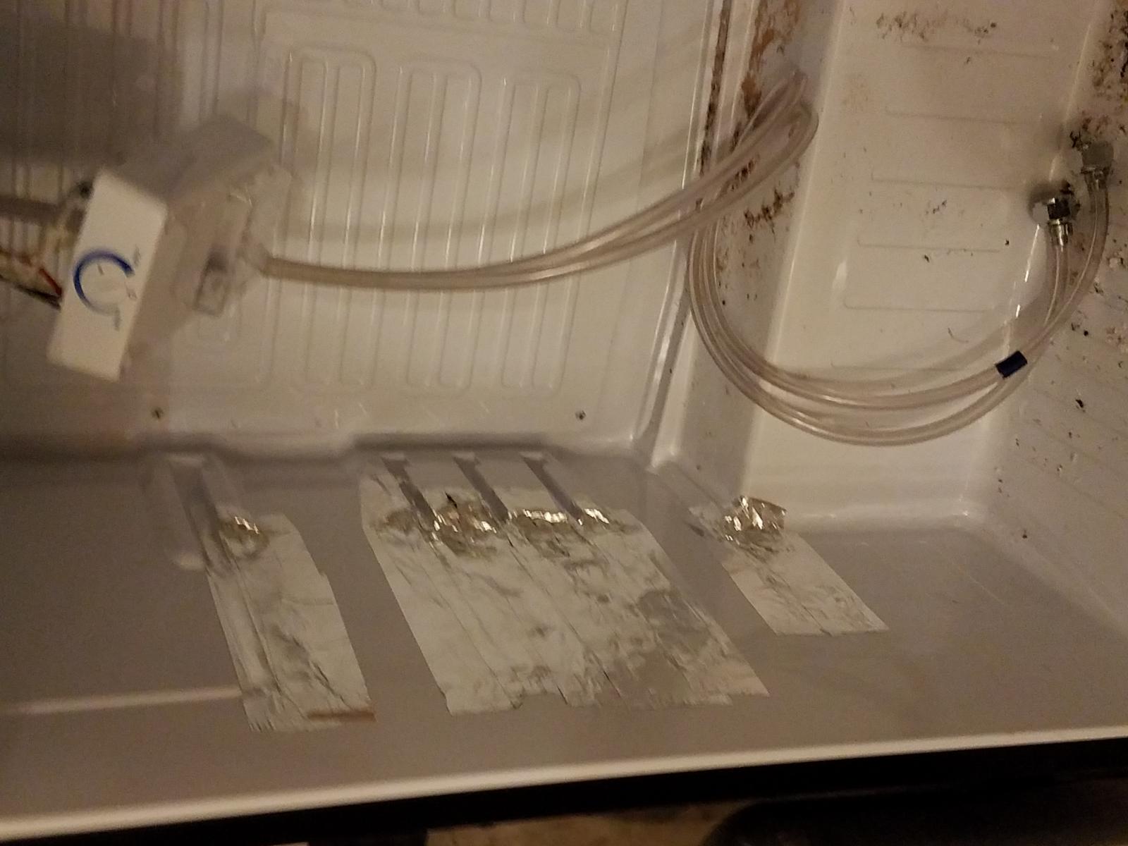 20170109_204251.jpg 20170109_204251.jpg
