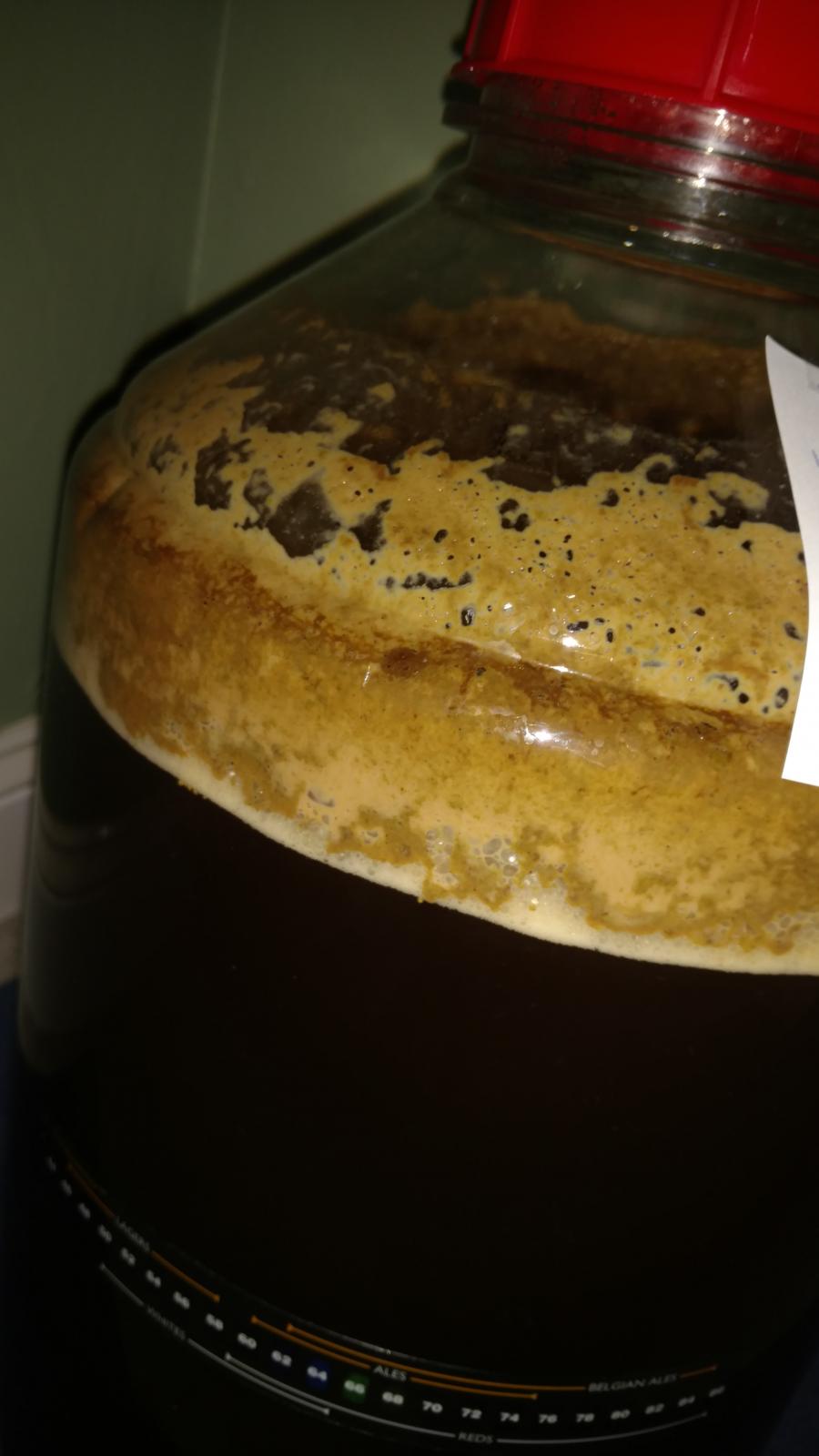 IMG_20170115_032208672.jpg