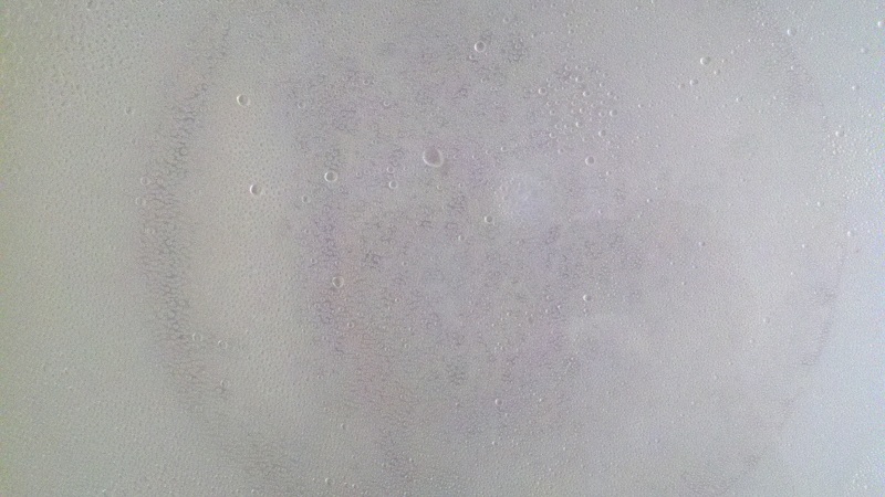 day-4-sudsy.jpg