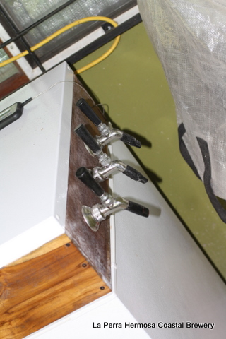 Keezer Side and Taps.JPG