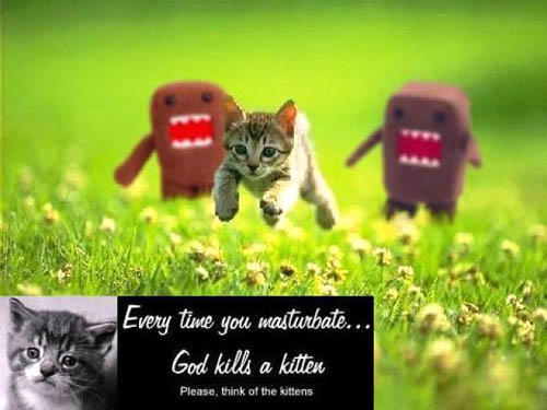 Kittens.jpg