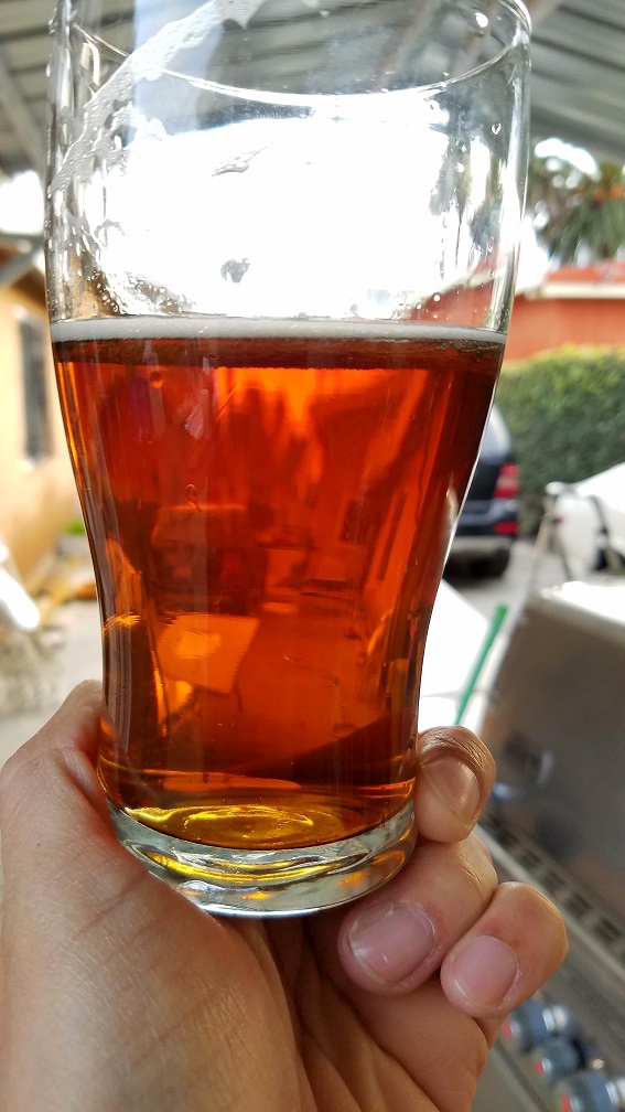 Vienna Lager V1.jpg