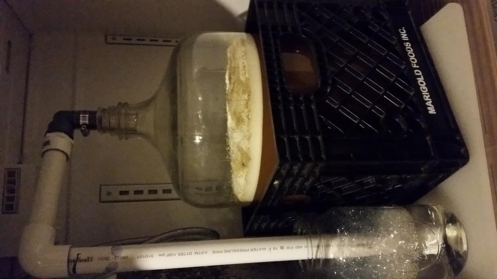 20170205_190422.jpg