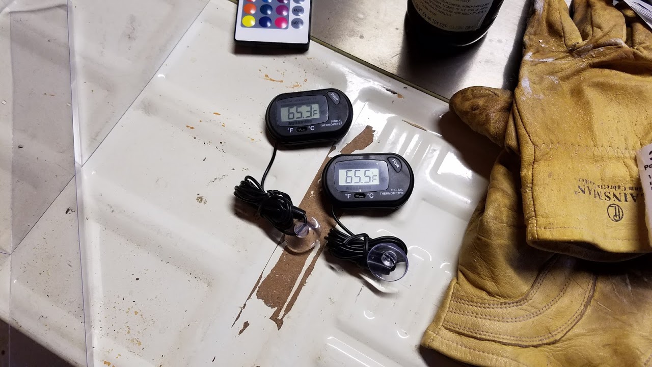 20170209_172950.jpg