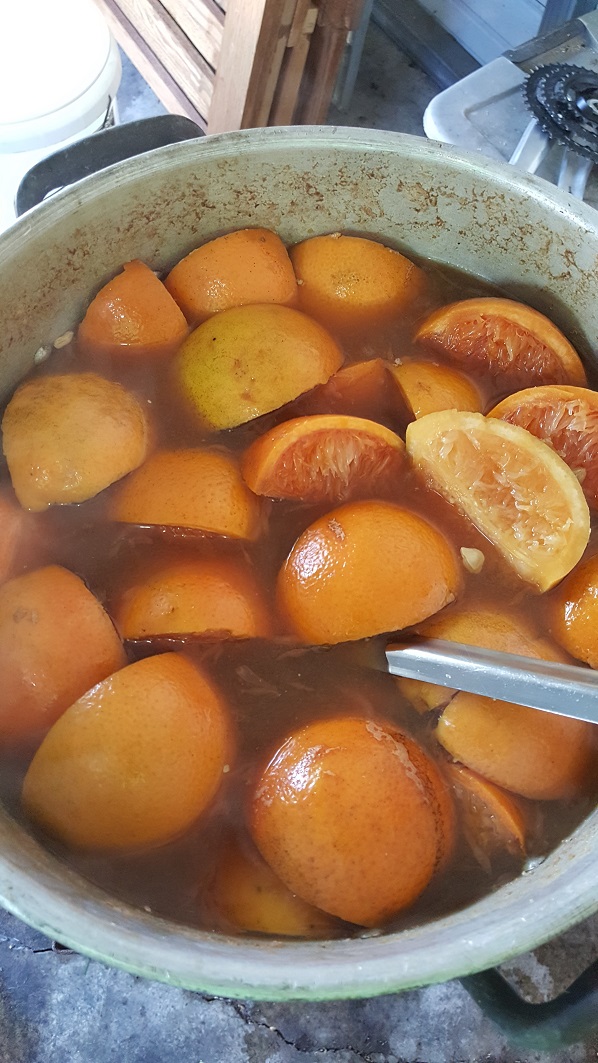 20170401_113147.jpg