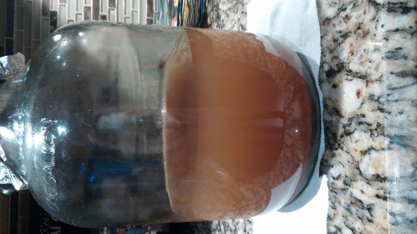 20170406_070453.jpg