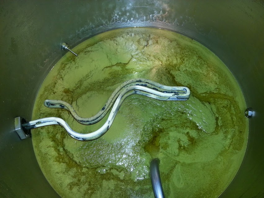 20140817_114317.jpg