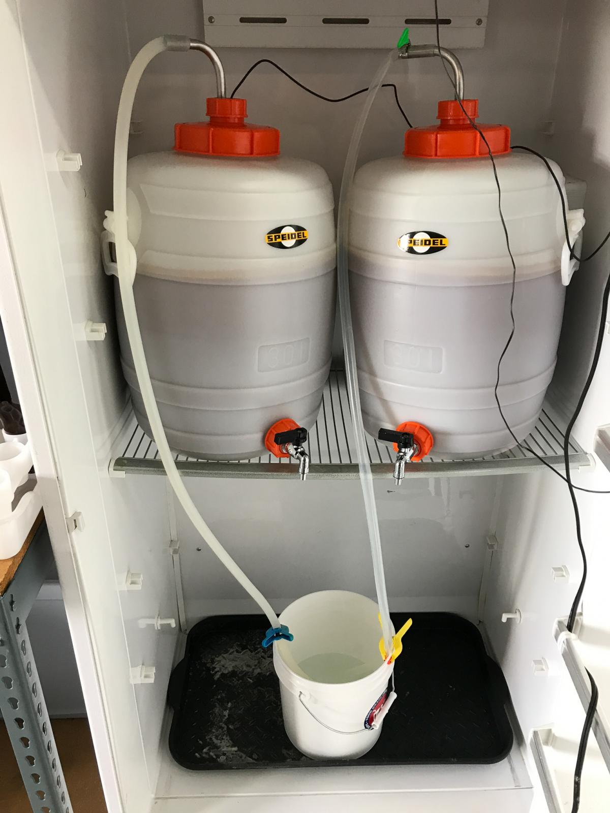 Caramel Amber Ale in Spiedel Fermenters.jpg Caramel Amber Ale in Spiedel Fermenters.jpg