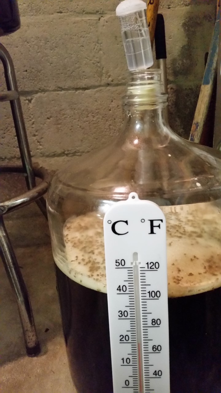 fermentation 051417.jpg