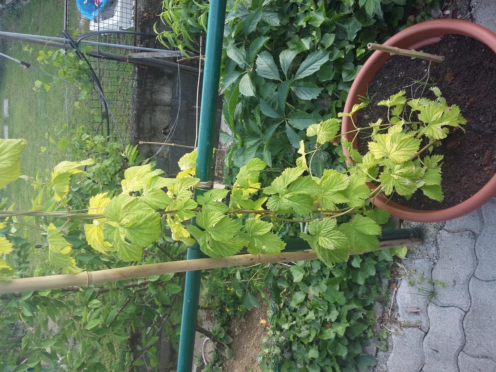 20170517_192822.jpg