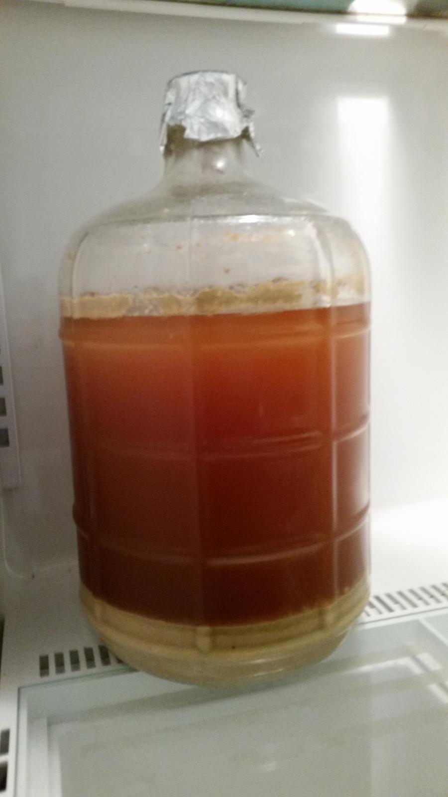 carboy dipa.jpg