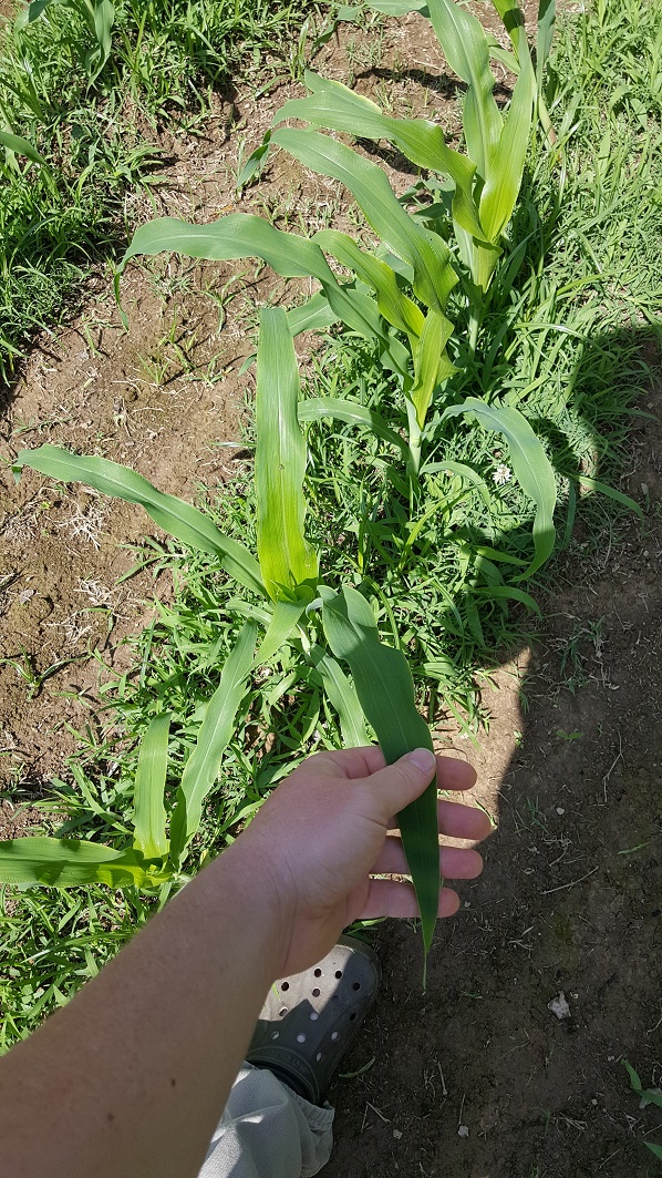 20170607_102314.jpg