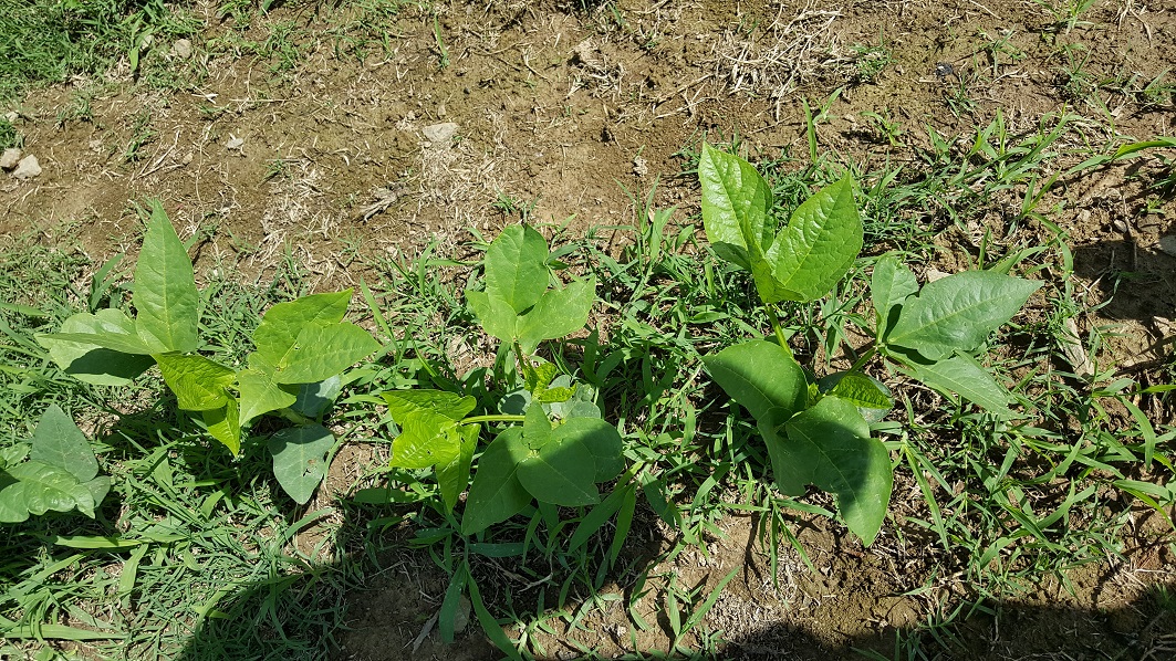 20170607_102334.jpg