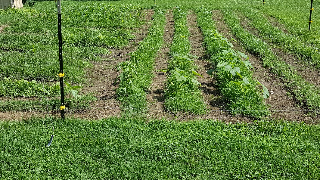 20170607_102459.jpg