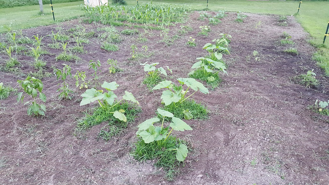 20170609_202121.jpg