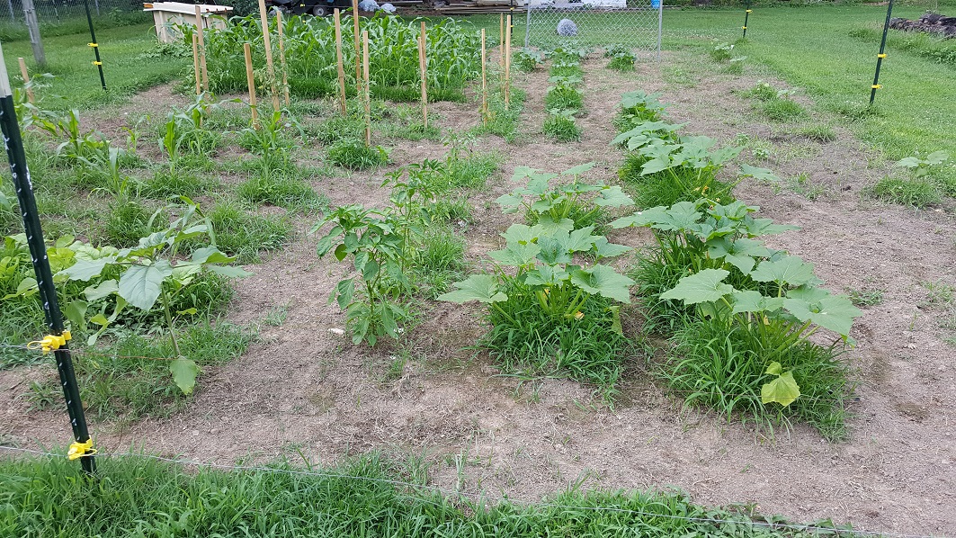 20170616_181327.jpg