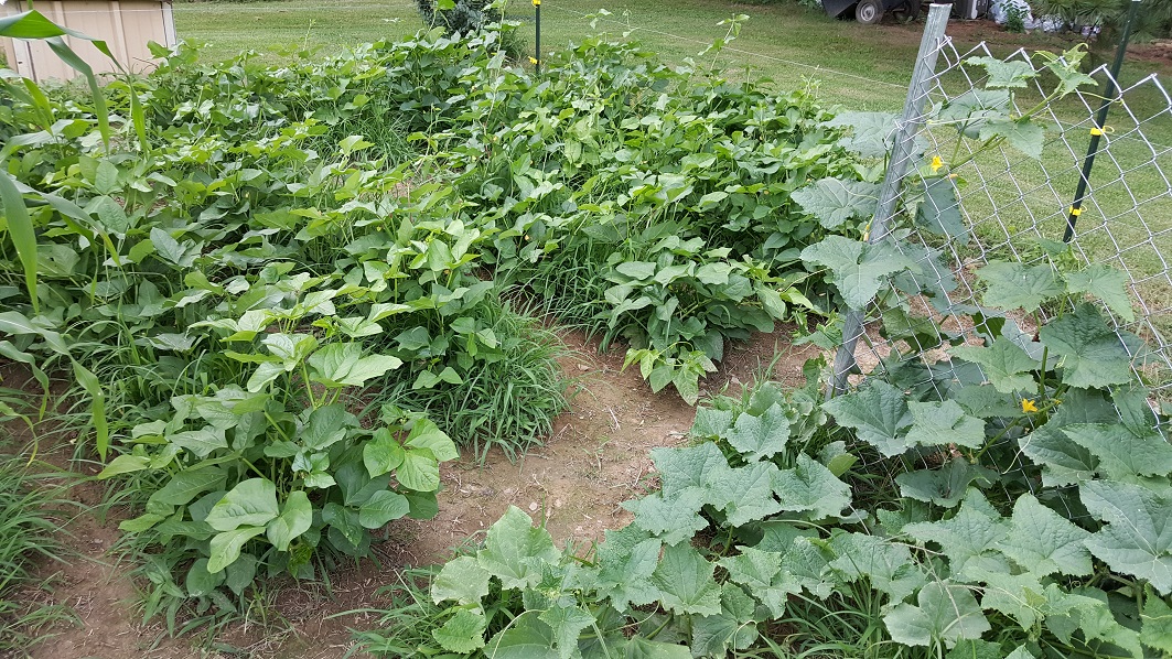 20170701_185645.jpg