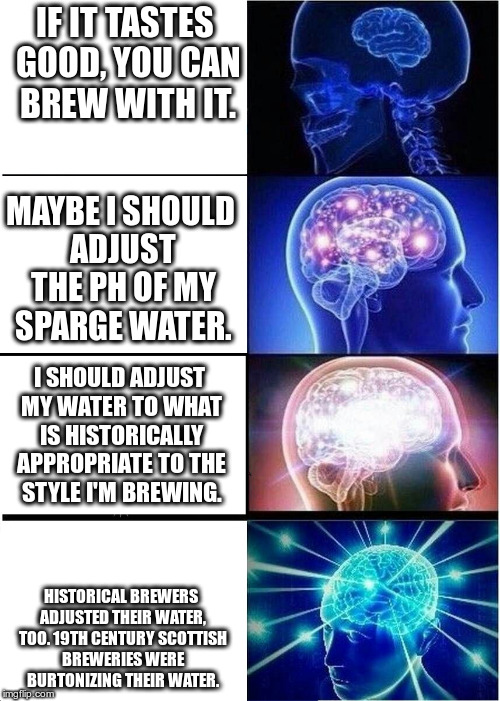 Brain meme brewing.jpg